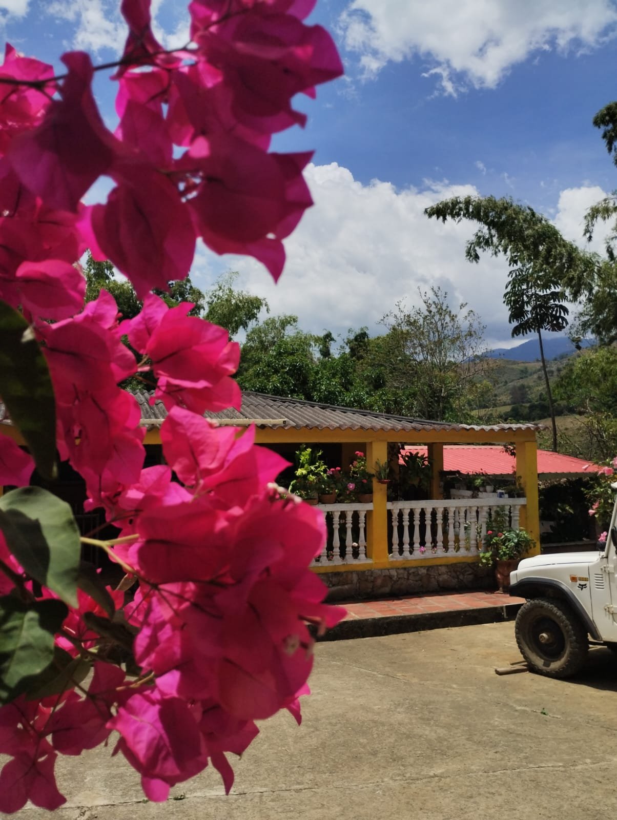 Finca cafetera tradicional en el Valle del Cauca Colombia